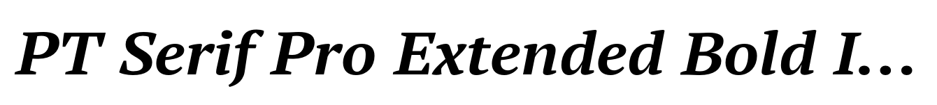 PT Serif Pro Extended Bold Italic